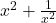 x^2+\frac{1}{x^2}